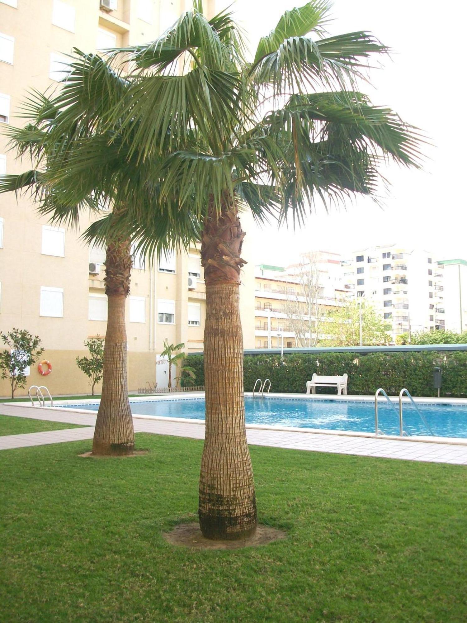 Miami - Alquiler Solo Familias Appartement *